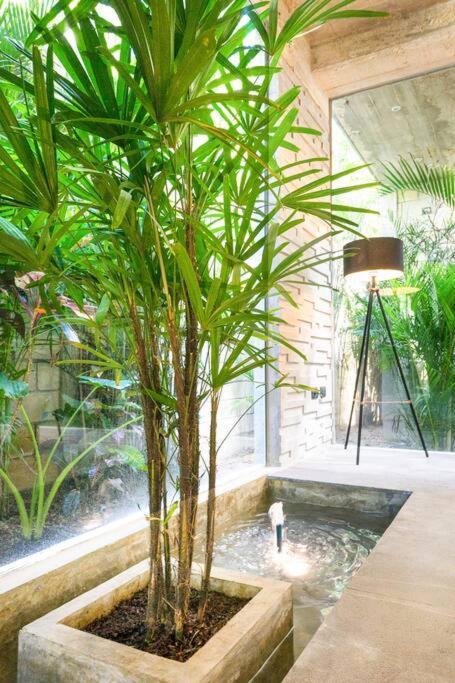Villa Nimi Architectural Masterpiece Experience Private Pool & Great Concierge Service By Hum Living Tulum Eksteriør billede