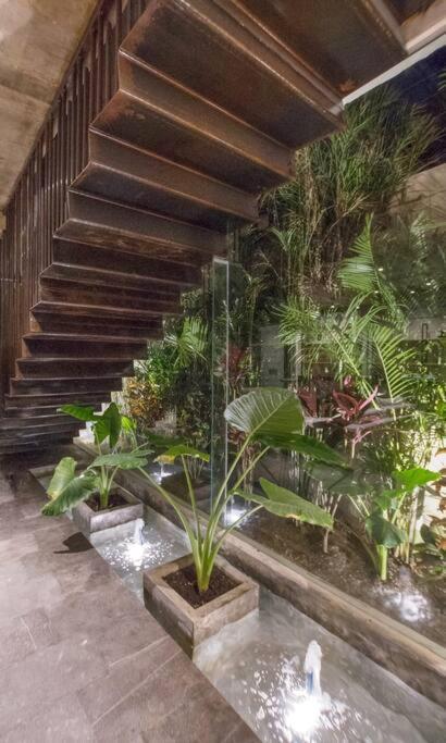 Villa Nimi Architectural Masterpiece Experience Private Pool & Great Concierge Service By Hum Living Tulum Eksteriør billede